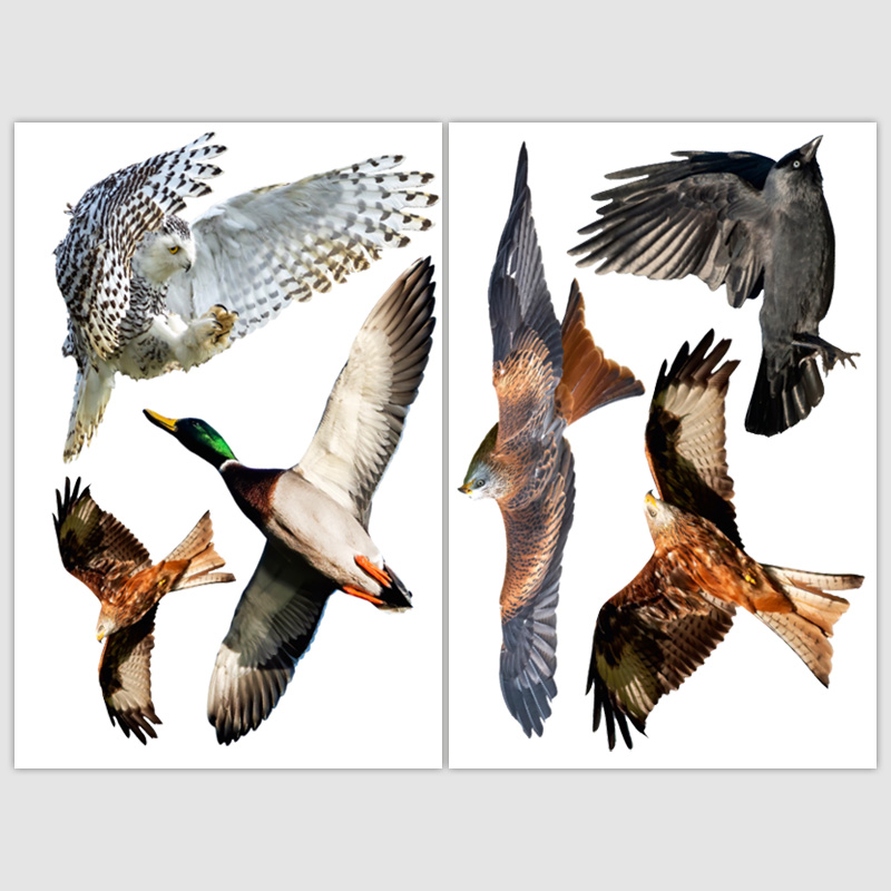 Raamsticker vogels – Herbruikbare statische folie | Vogelbescherming | Vogelstickers voor op het raam